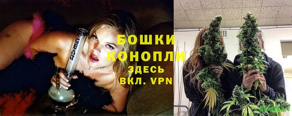 ГАЛЛЮЦИНОГЕННЫЕ ГРИБЫ Баксан