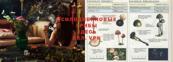 Альфа ПВП Балабаново