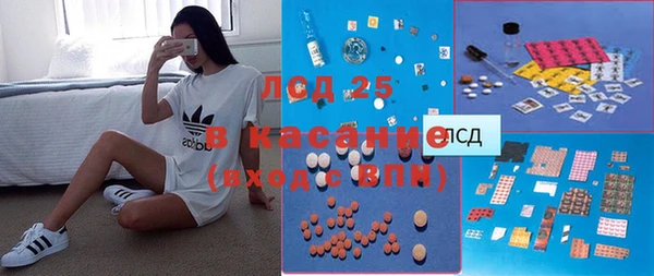 ГАЛЛЮЦИНОГЕННЫЕ ГРИБЫ Баксан