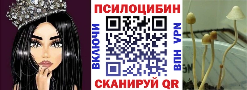 Псилоцибиновые грибы MAGIC MUSHROOMS  Геленджик 